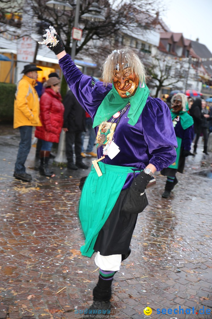 Fasnetsumzug - Fasching: Langenargen am Bodensee, 10.01.2016