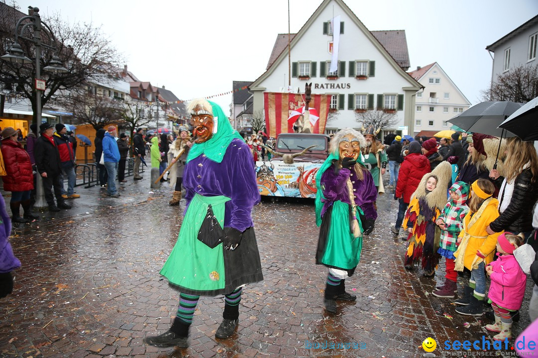 Fasnetsumzug - Fasching: Langenargen am Bodensee, 10.01.2016