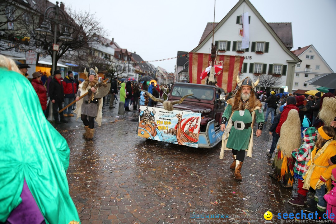 Fasnetsumzug - Fasching: Langenargen am Bodensee, 10.01.2016