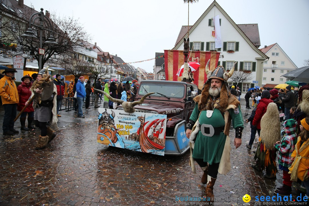 Fasnetsumzug - Fasching: Langenargen am Bodensee, 10.01.2016