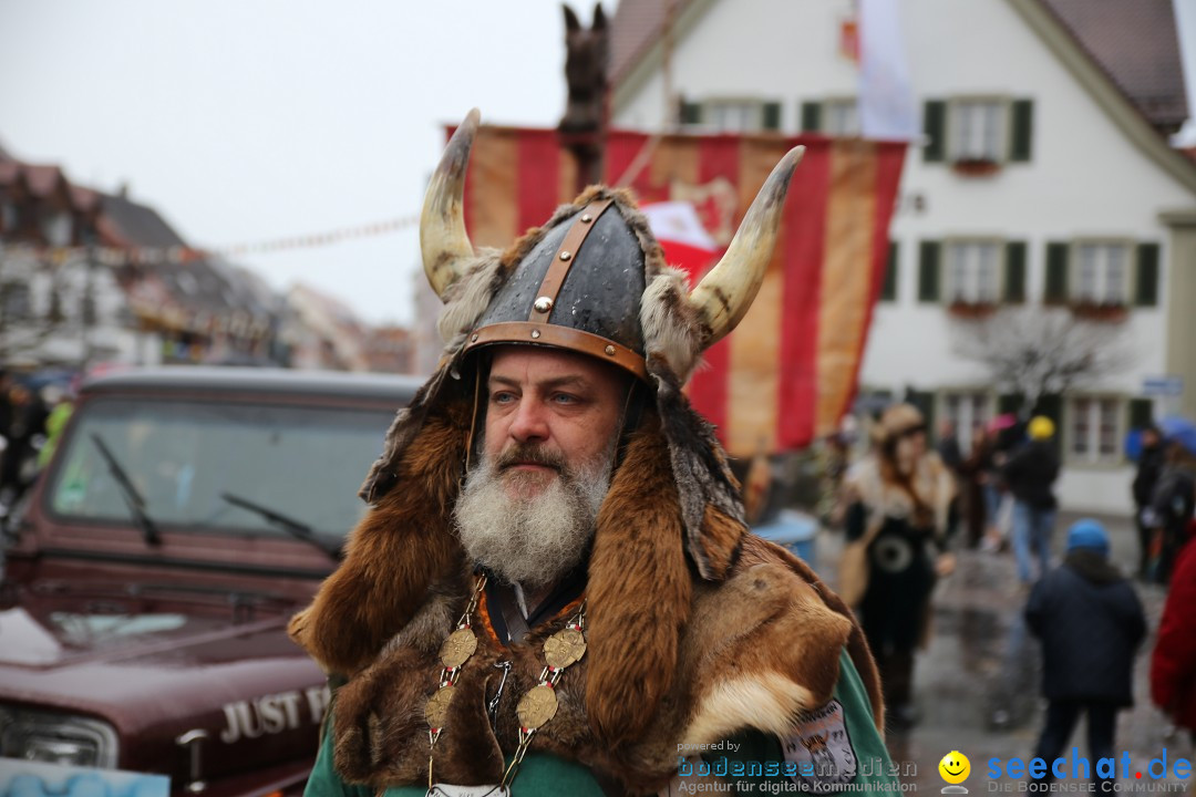 Fasnetsumzug - Fasching: Langenargen am Bodensee, 10.01.2016