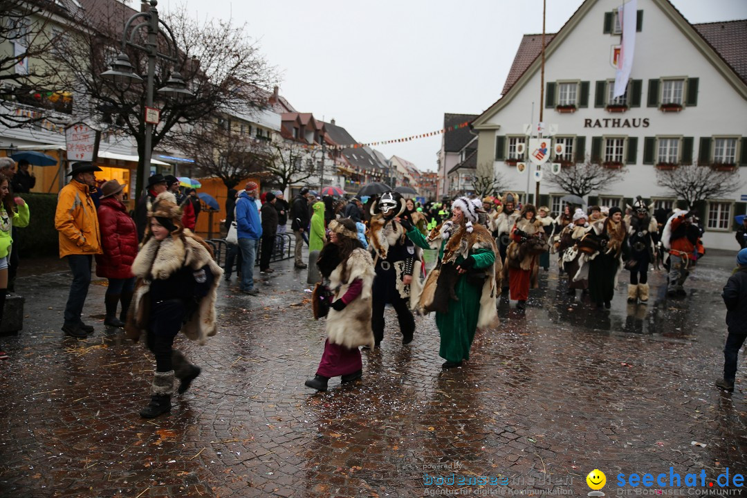 Fasnetsumzug - Fasching: Langenargen am Bodensee, 10.01.2016