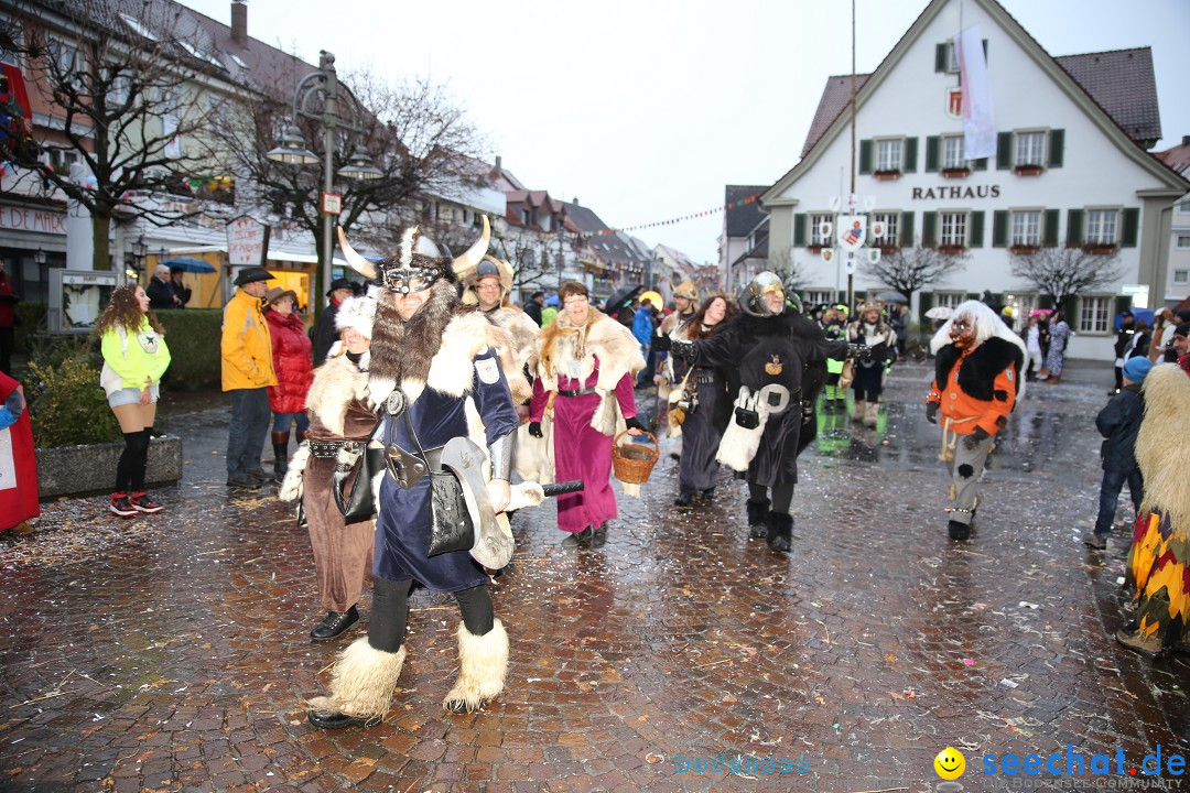 Fasnetsumzug - Fasching: Langenargen am Bodensee, 10.01.2016