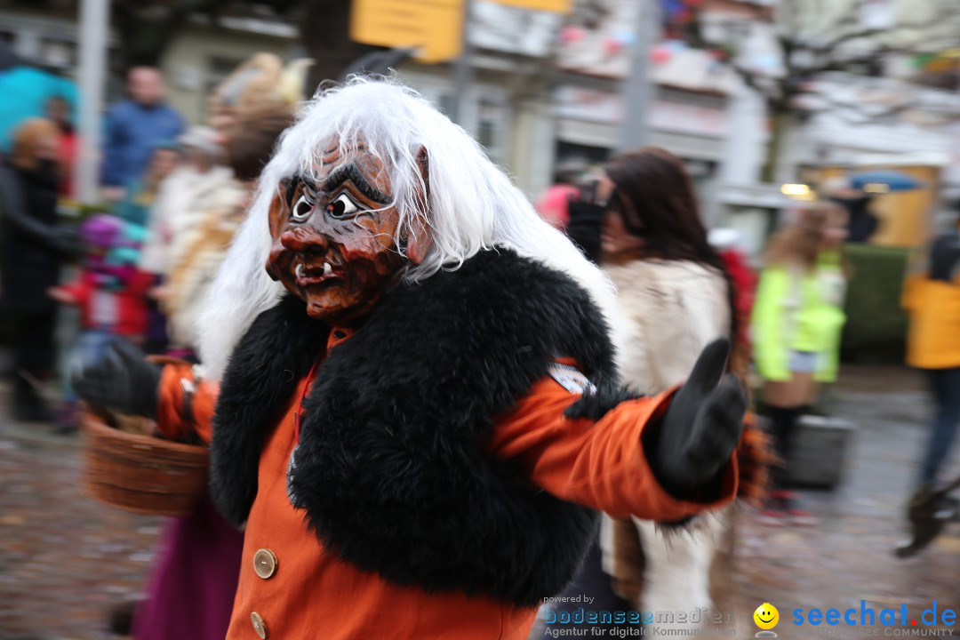 Fasnetsumzug - Fasching: Langenargen am Bodensee, 10.01.2016