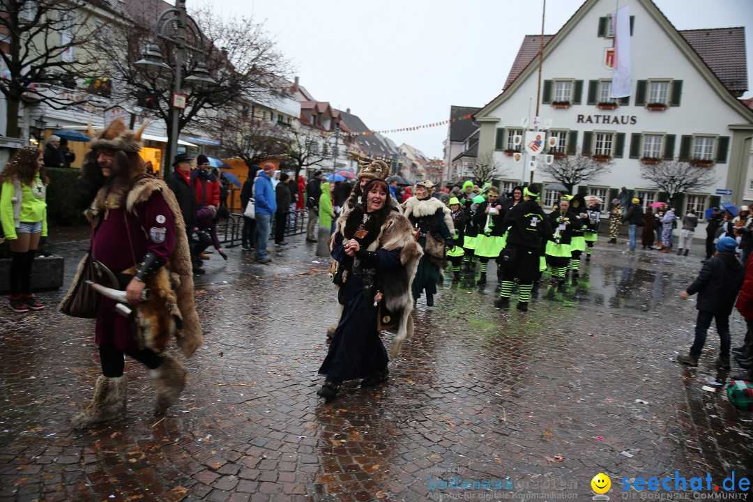 Fasnetsumzug - Fasching: Langenargen am Bodensee, 10.01.2016