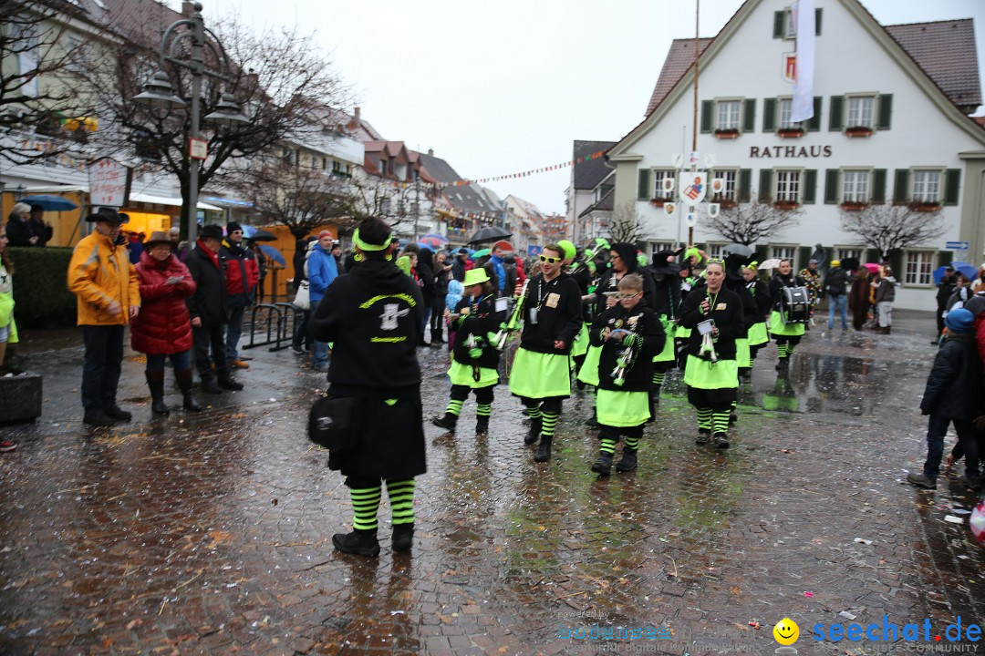 Fasnetsumzug - Fasching: Langenargen am Bodensee, 10.01.2016