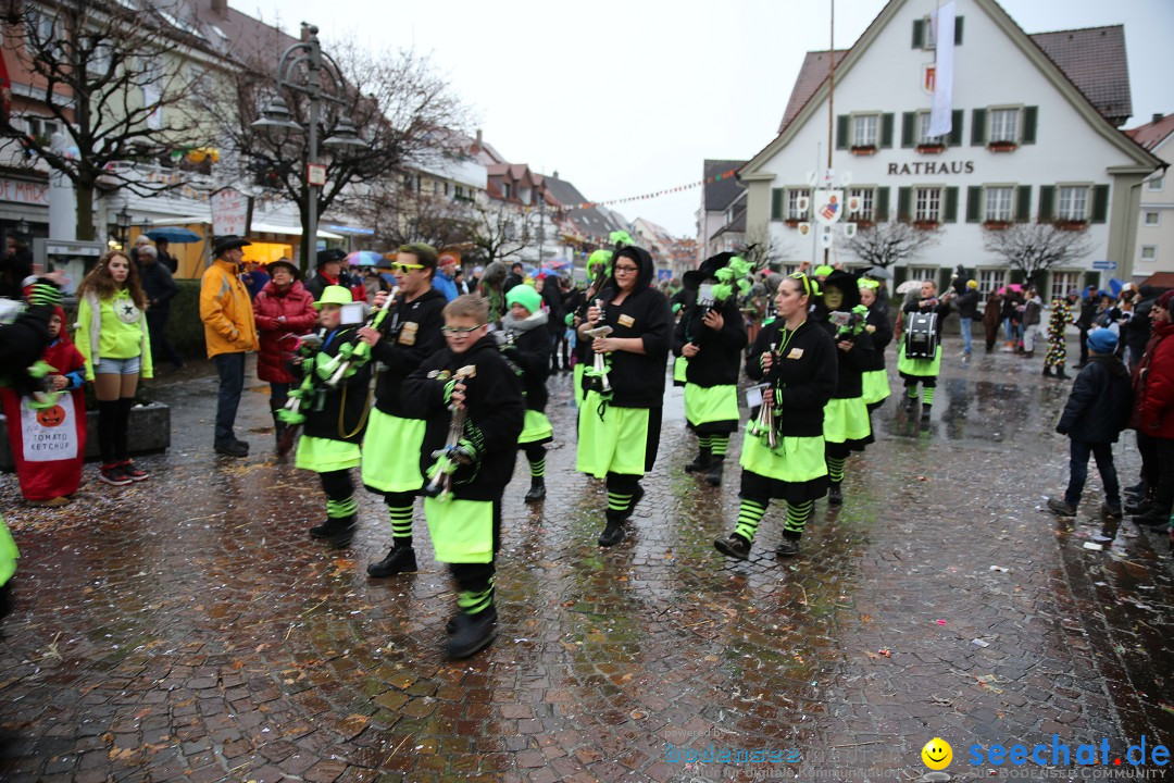 Fasnetsumzug - Fasching: Langenargen am Bodensee, 10.01.2016