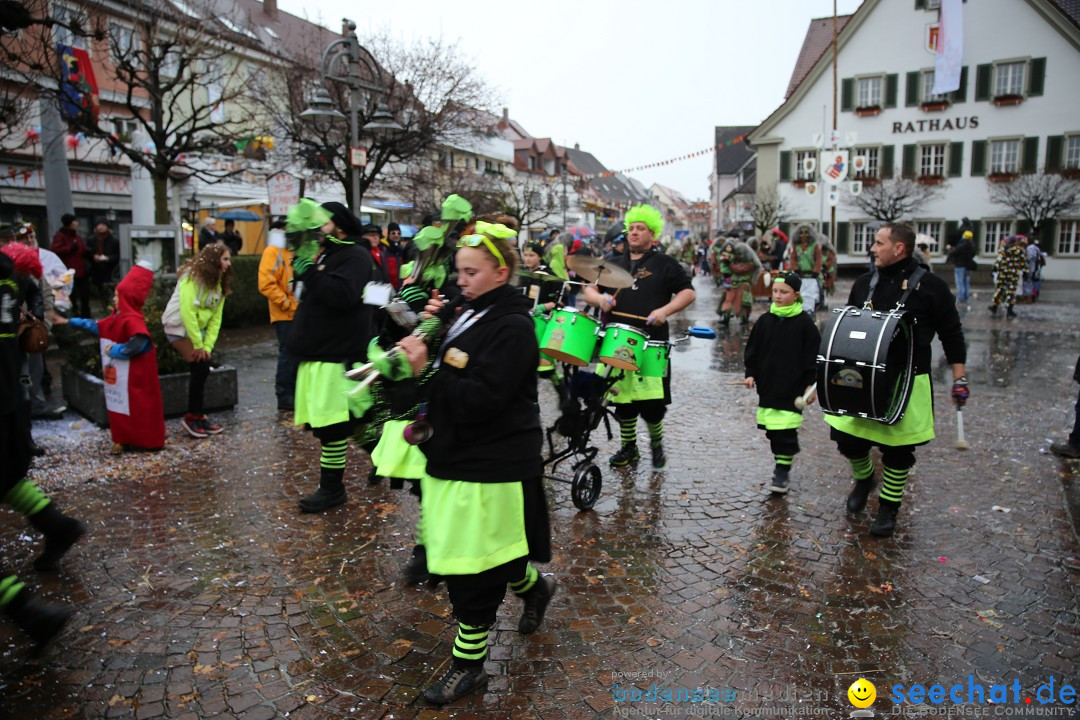 Fasnetsumzug - Fasching: Langenargen am Bodensee, 10.01.2016