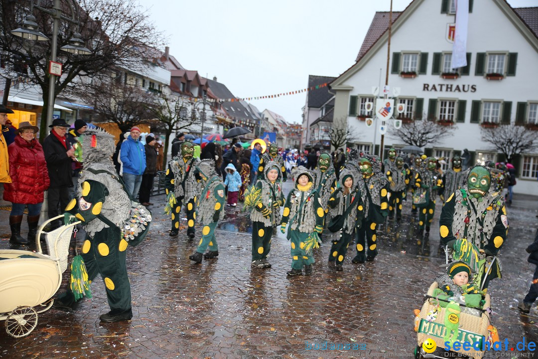 Fasnetsumzug - Fasching: Langenargen am Bodensee, 10.01.2016