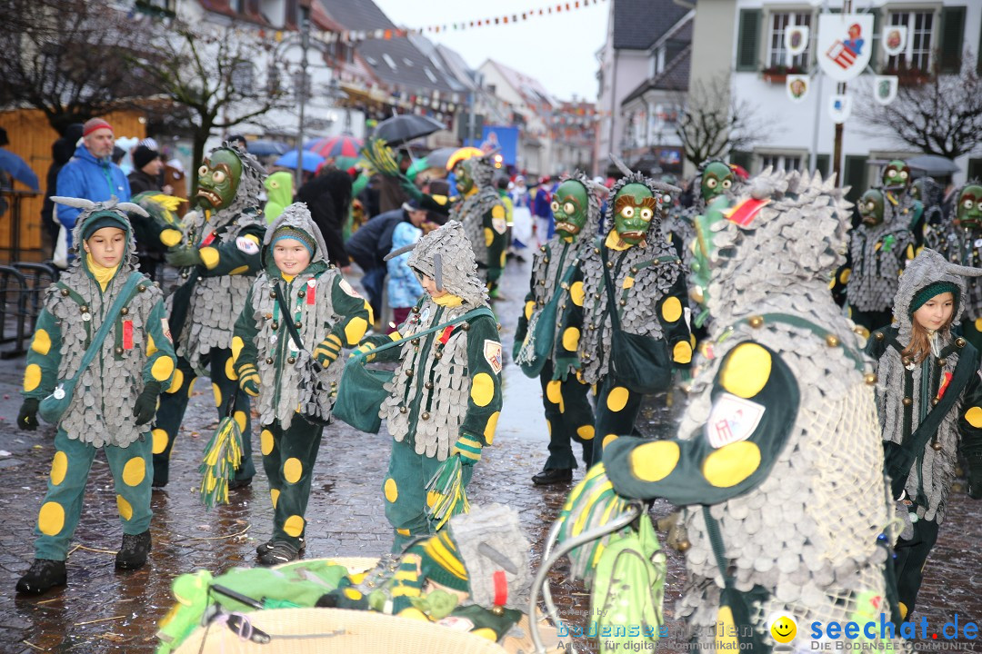 Fasnetsumzug - Fasching: Langenargen am Bodensee, 10.01.2016