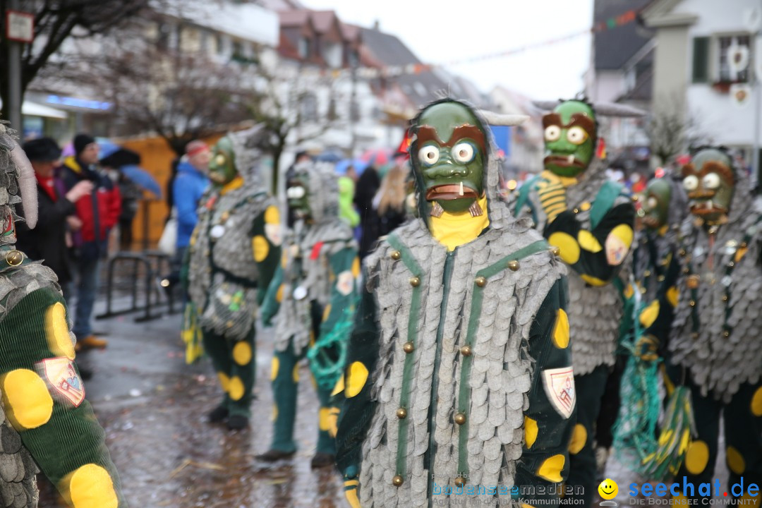 Fasnetsumzug - Fasching: Langenargen am Bodensee, 10.01.2016