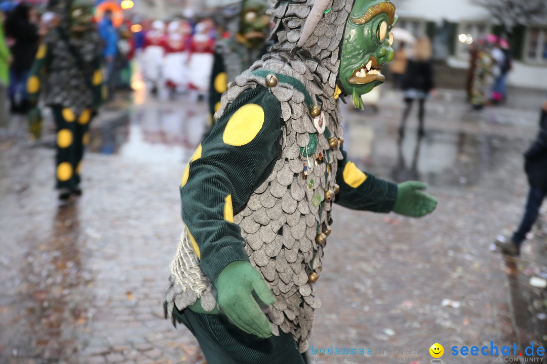 Fasnetsumzug - Fasching: Langenargen am Bodensee, 10.01.2016