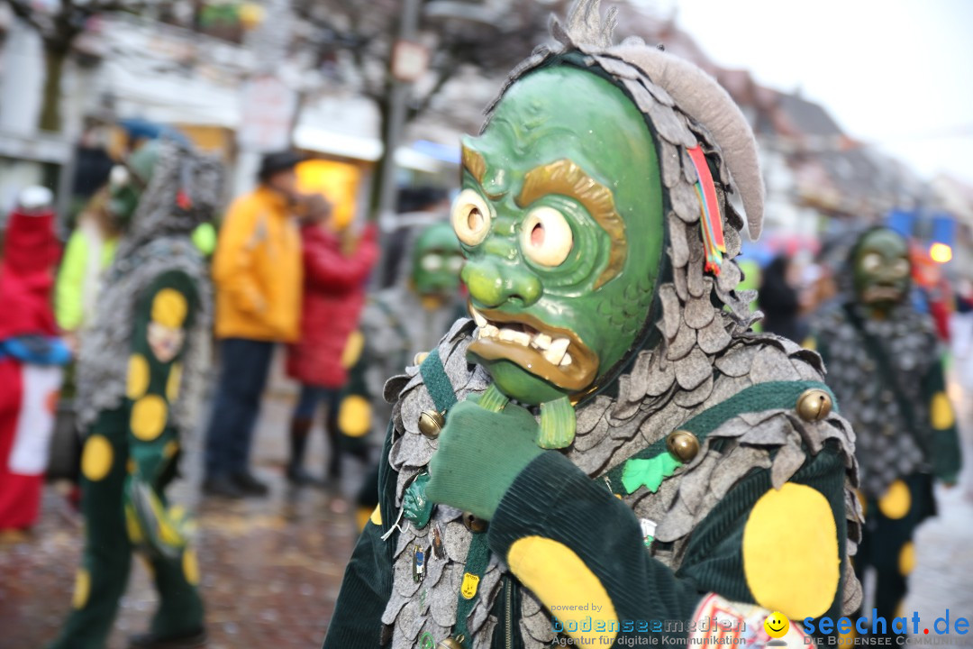 Fasnetsumzug - Fasching: Langenargen am Bodensee, 10.01.2016