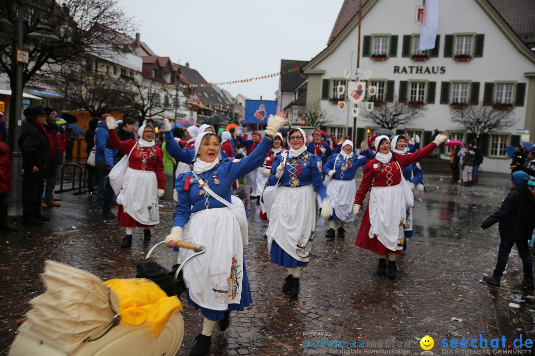 Fasnetsumzug - Fasching: Langenargen am Bodensee, 10.01.2016