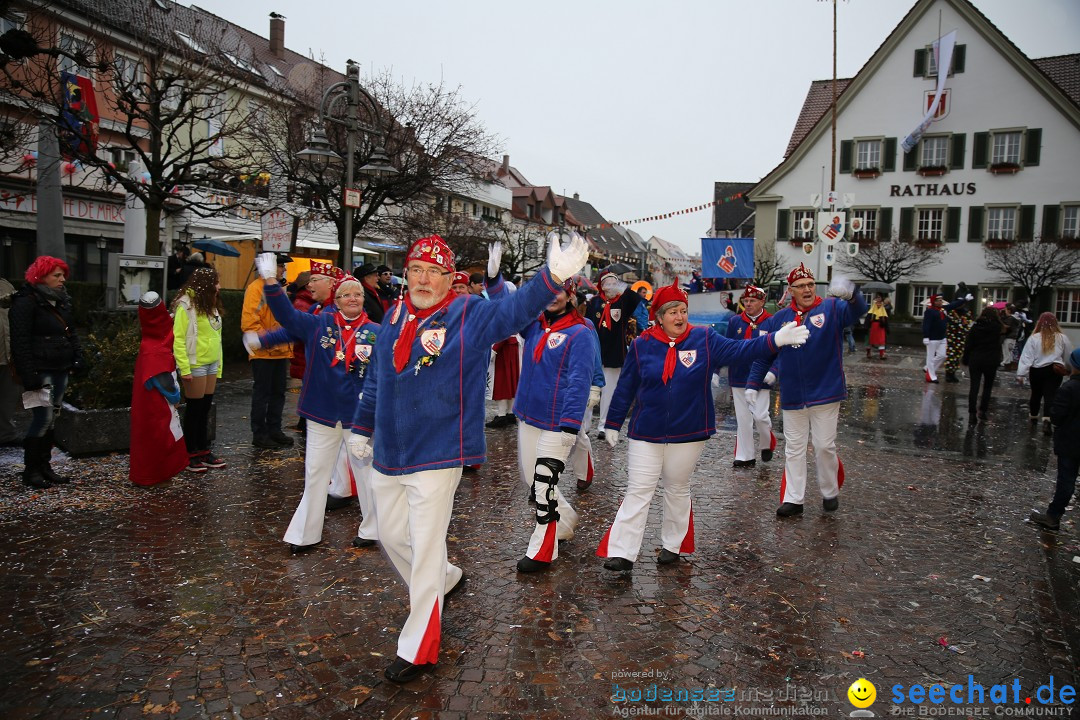 Fasnetsumzug - Fasching: Langenargen am Bodensee, 10.01.2016