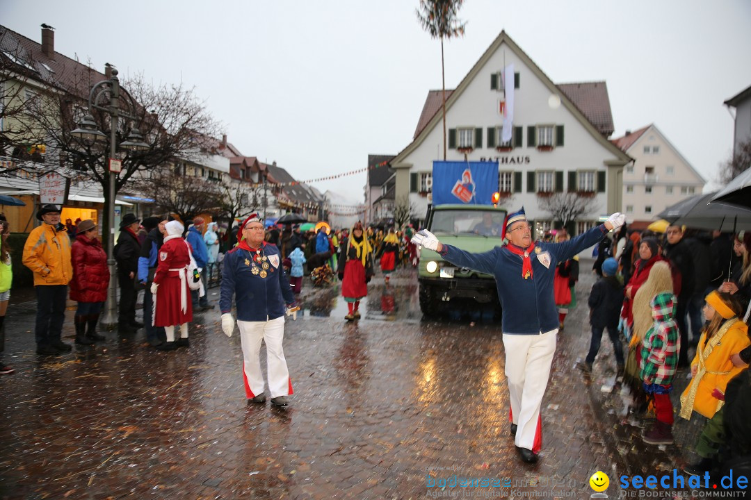 Fasnetsumzug - Fasching: Langenargen am Bodensee, 10.01.2016