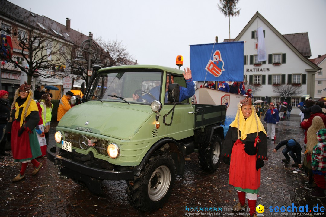 Fasnetsumzug - Fasching: Langenargen am Bodensee, 10.01.2016