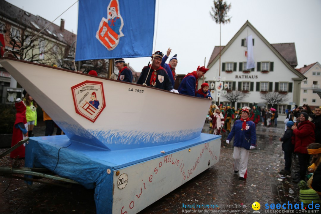 Fasnetsumzug - Fasching: Langenargen am Bodensee, 10.01.2016