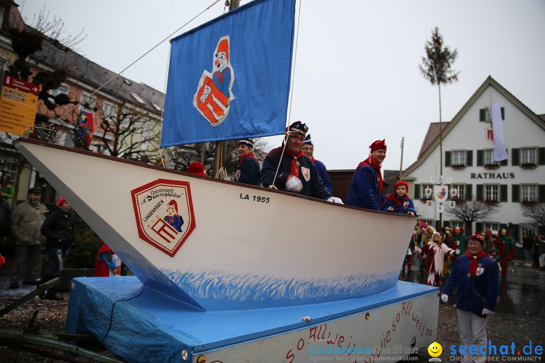 Fasnetsumzug - Fasching: Langenargen am Bodensee, 10.01.2016