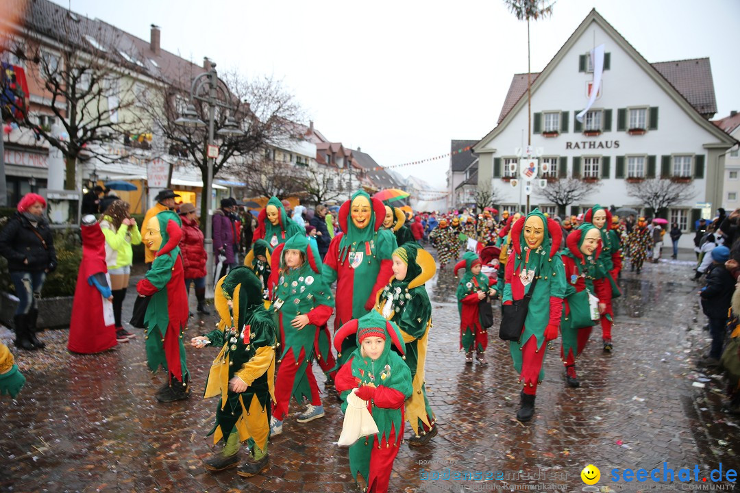 Fasnetsumzug - Fasching: Langenargen am Bodensee, 10.01.2016