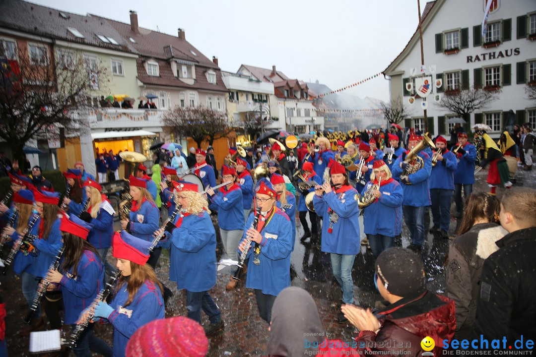 Fasnetsumzug - Fasching: Langenargen am Bodensee, 10.01.2016