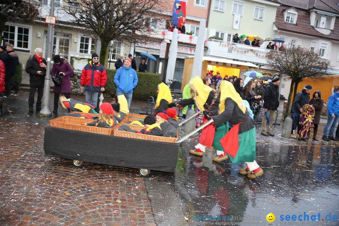 Fasnetsumzug - Fasching: Langenargen am Bodensee, 10.01.2016