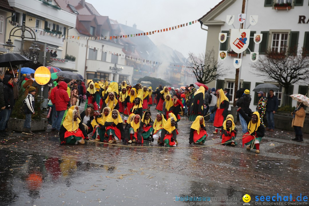 Fasnetsumzug - Fasching: Langenargen am Bodensee, 10.01.2016