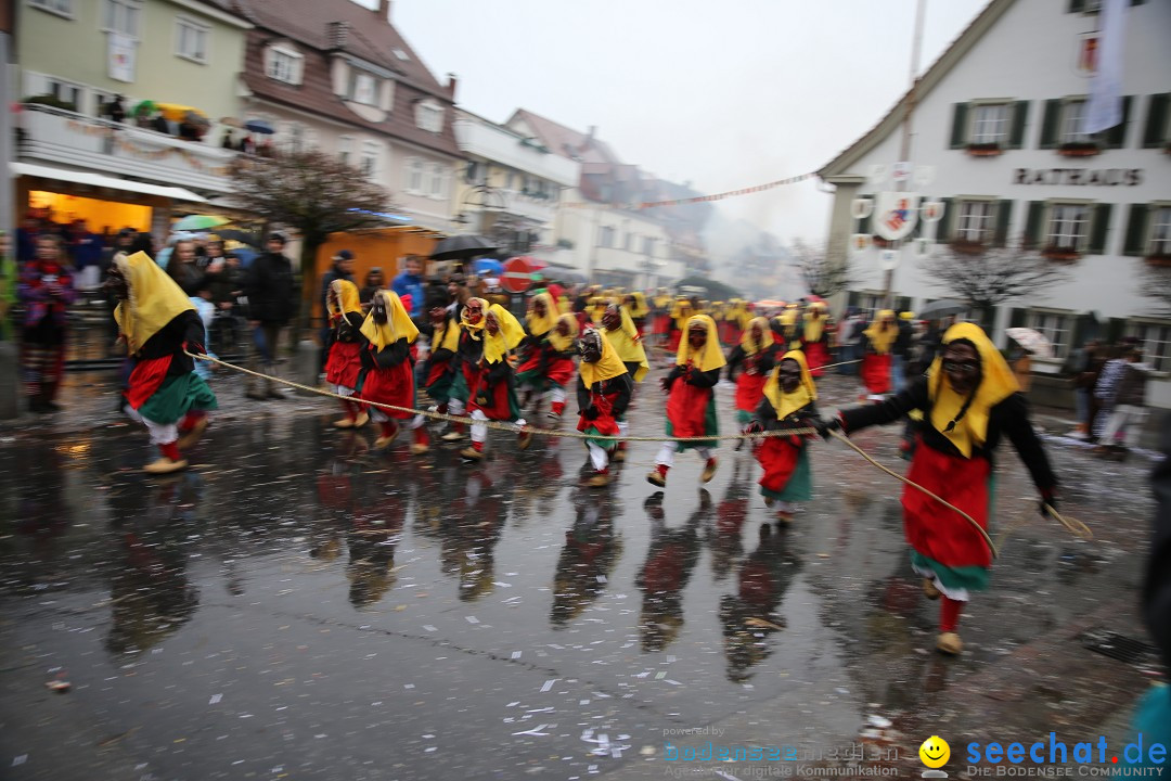 Fasnetsumzug - Fasching: Langenargen am Bodensee, 10.01.2016