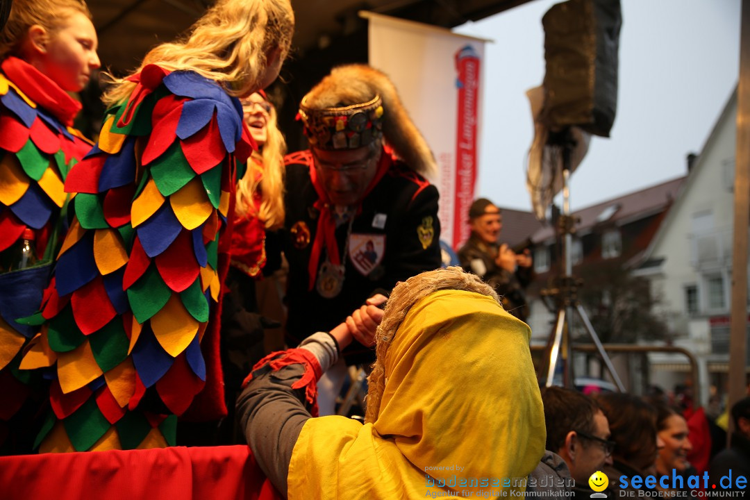 Fasnetsumzug - Fasching: Langenargen am Bodensee, 10.01.2016