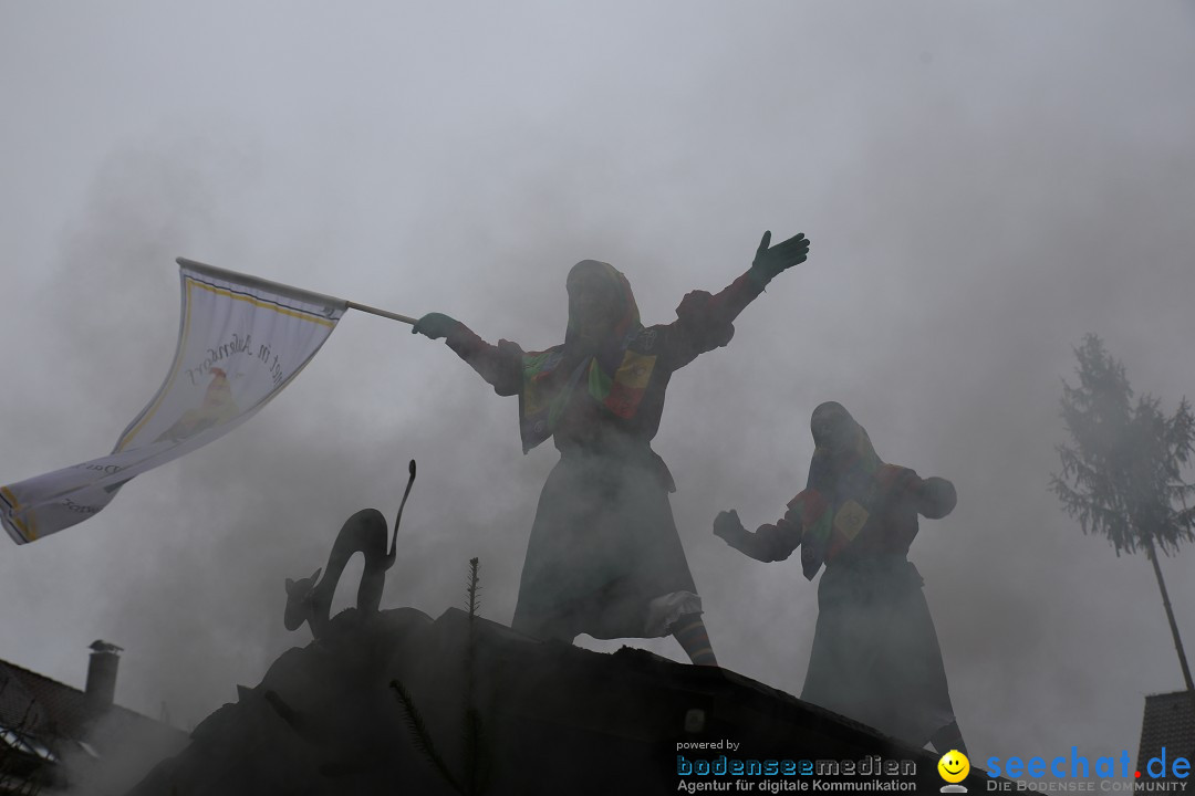 Fasnetsumzug - Fasching: Langenargen am Bodensee, 10.01.2016