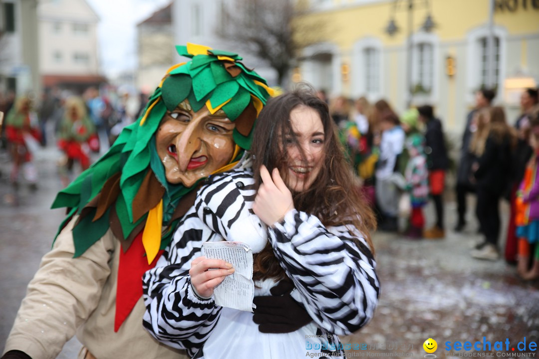 Fasnetsumzug - Fasching: Langenargen am Bodensee, 10.01.2016