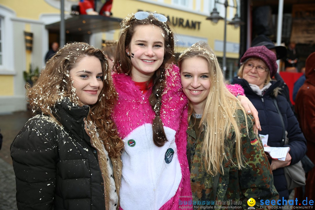 Fasnetsumzug - Fasching: Langenargen am Bodensee, 10.01.2016