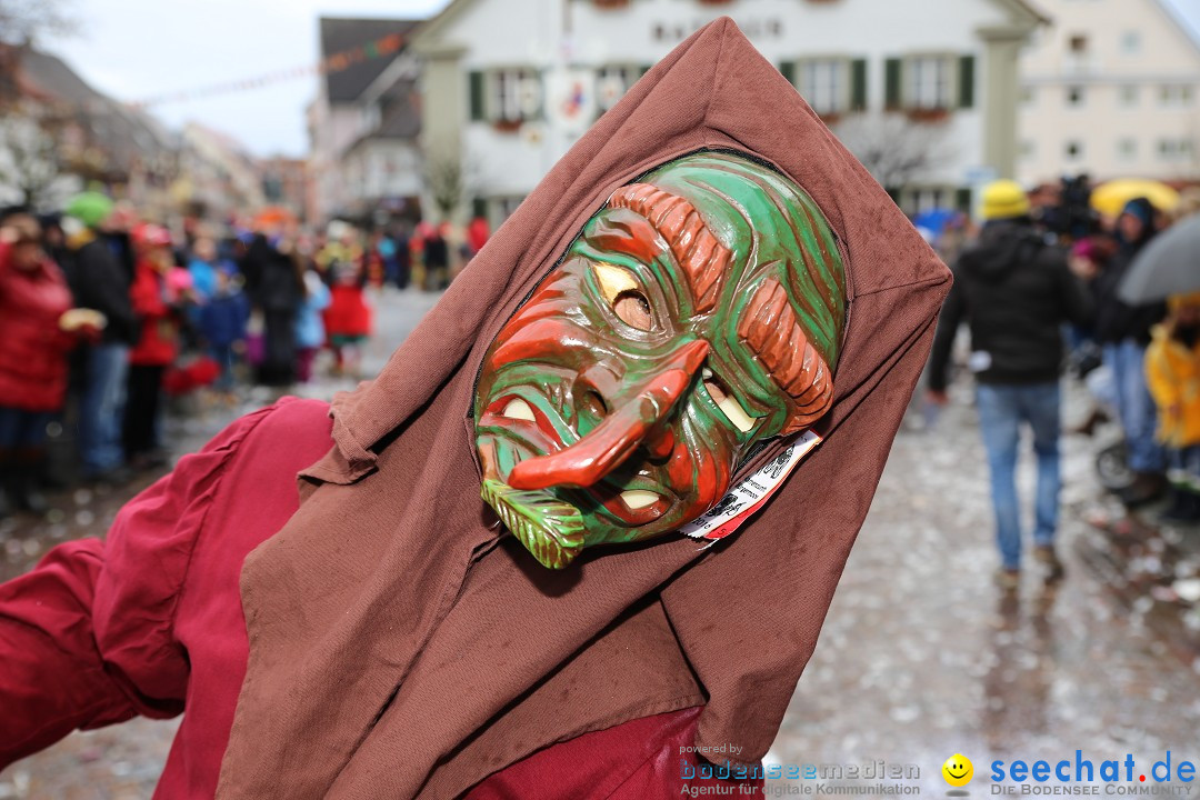 Fasnetsumzug - Fasching: Langenargen am Bodensee, 10.01.2016