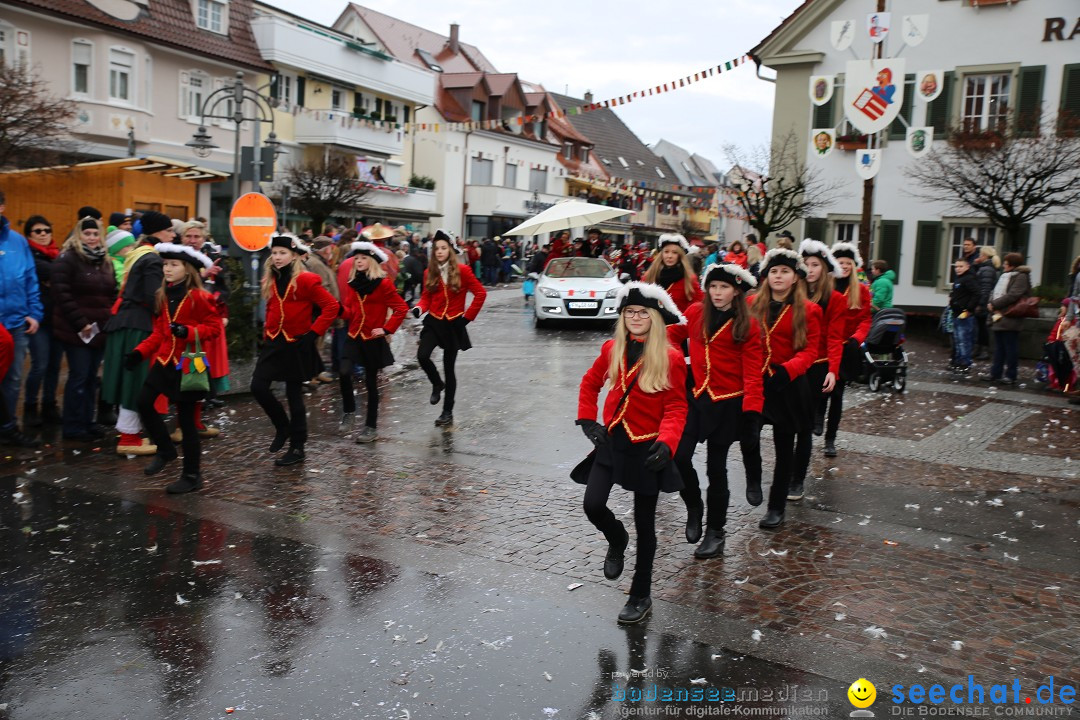 Fasnetsumzug - Fasching: Langenargen am Bodensee, 10.01.2016