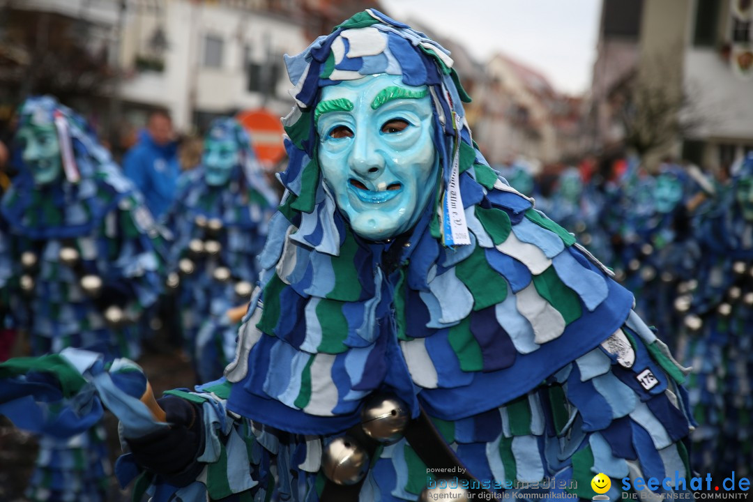 Fasnetsumzug - Fasching: Langenargen am Bodensee, 10.01.2016