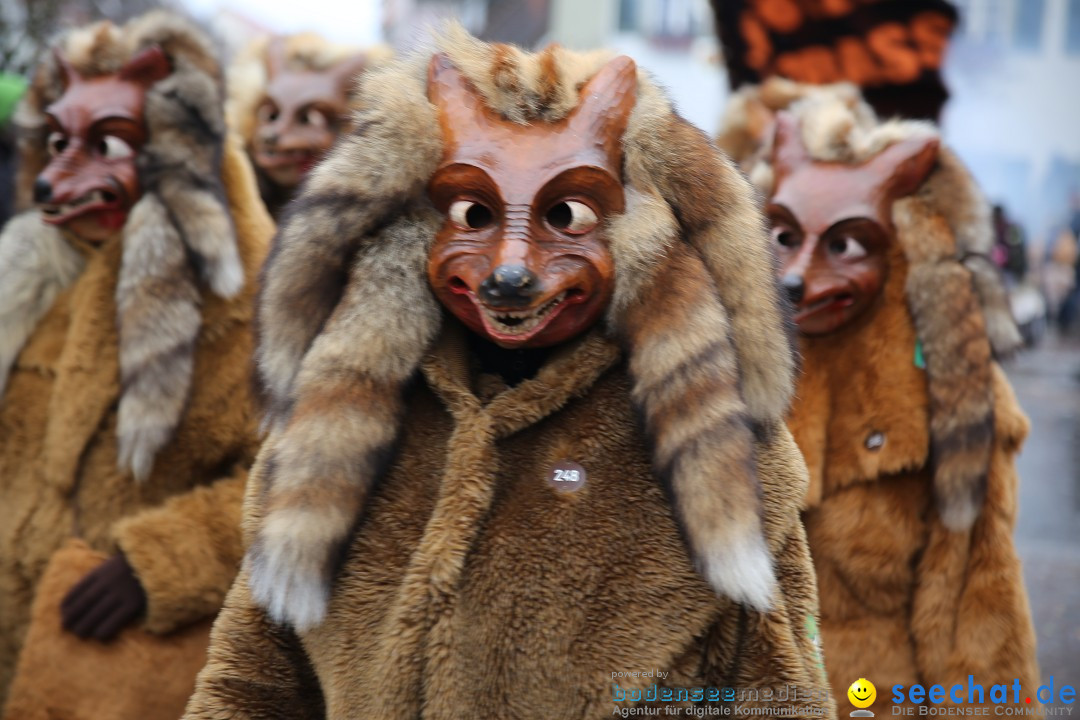 Fasnetsumzug - Fasching: Langenargen am Bodensee, 10.01.2016