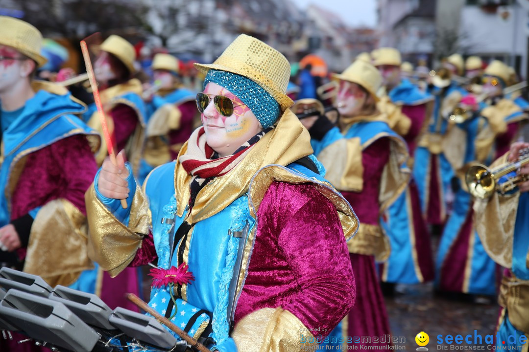 Fasnetsumzug - Fasching: Langenargen am Bodensee, 10.01.2016