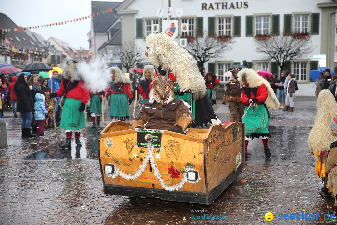 Fasnetsumzug - Fasching: Langenargen am Bodensee, 10.01.2016