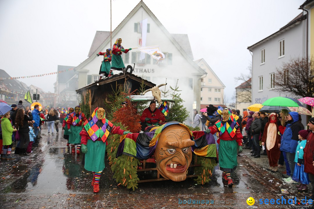 Fasnetsumzug - Fasching: Langenargen am Bodensee, 10.01.2016