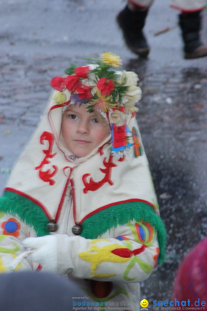 Fasnetsumzug - Fasching: Langenargen am Bodensee, 10.01.2016