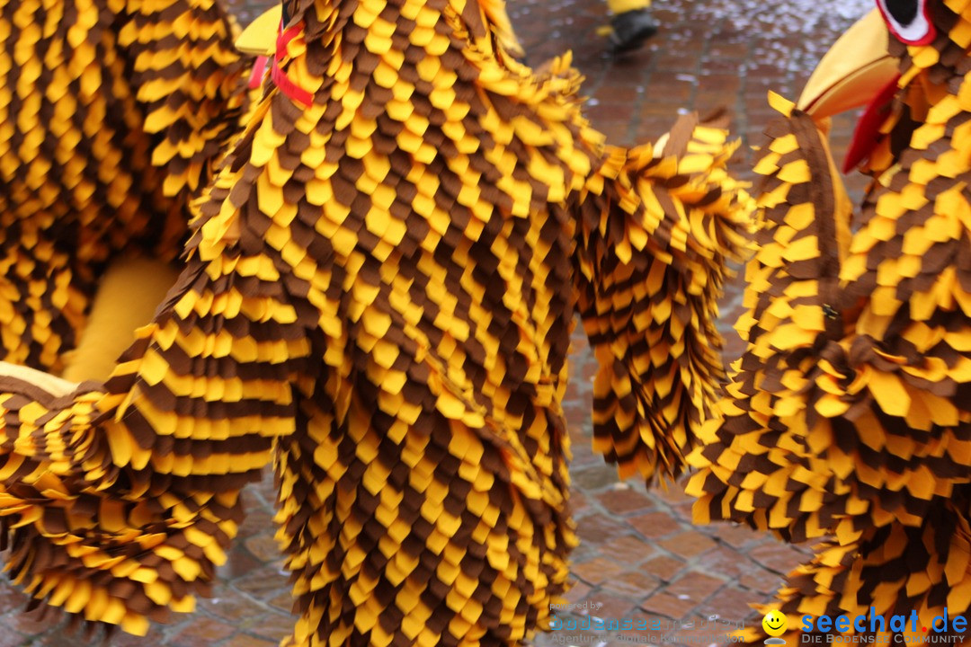 Fasnetsumzug - Fasching: Langenargen am Bodensee, 10.01.2016