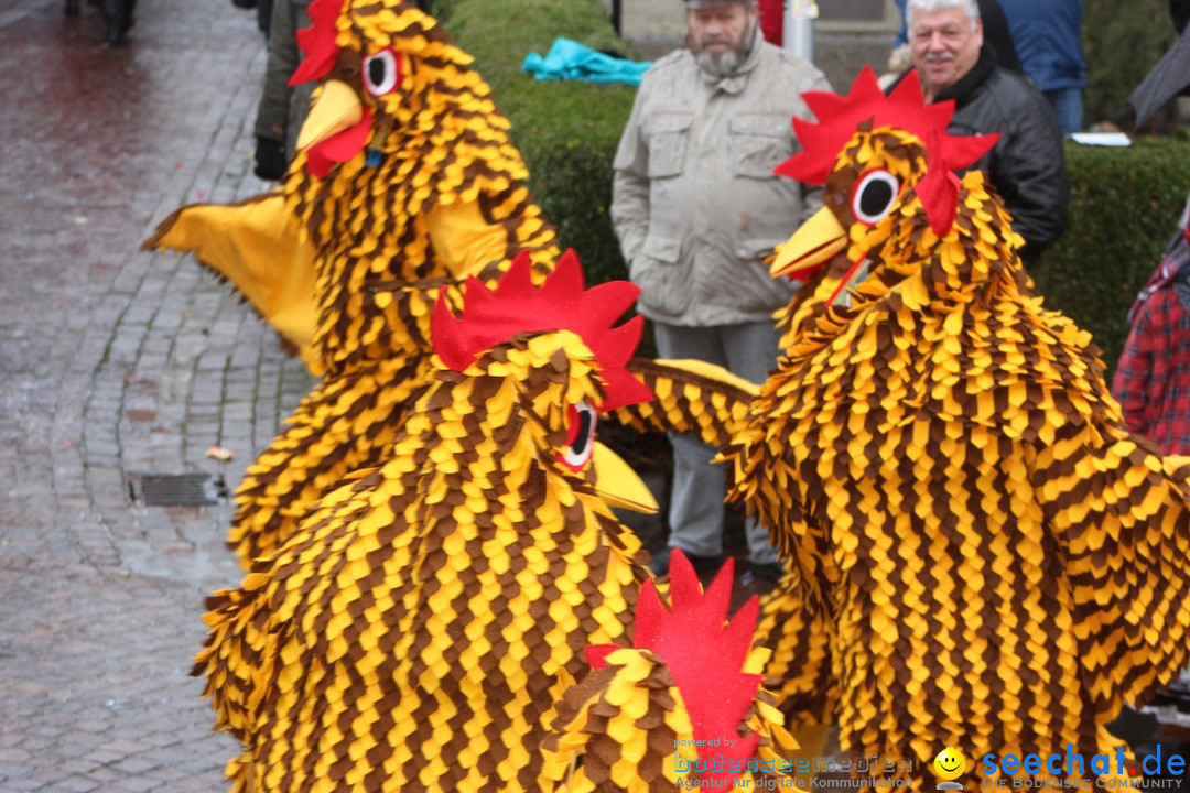 Fasnetsumzug - Fasching: Langenargen am Bodensee, 10.01.2016