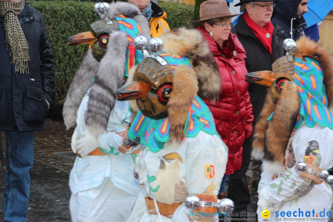 Fasnetsumzug - Fasching: Langenargen am Bodensee, 10.01.2016