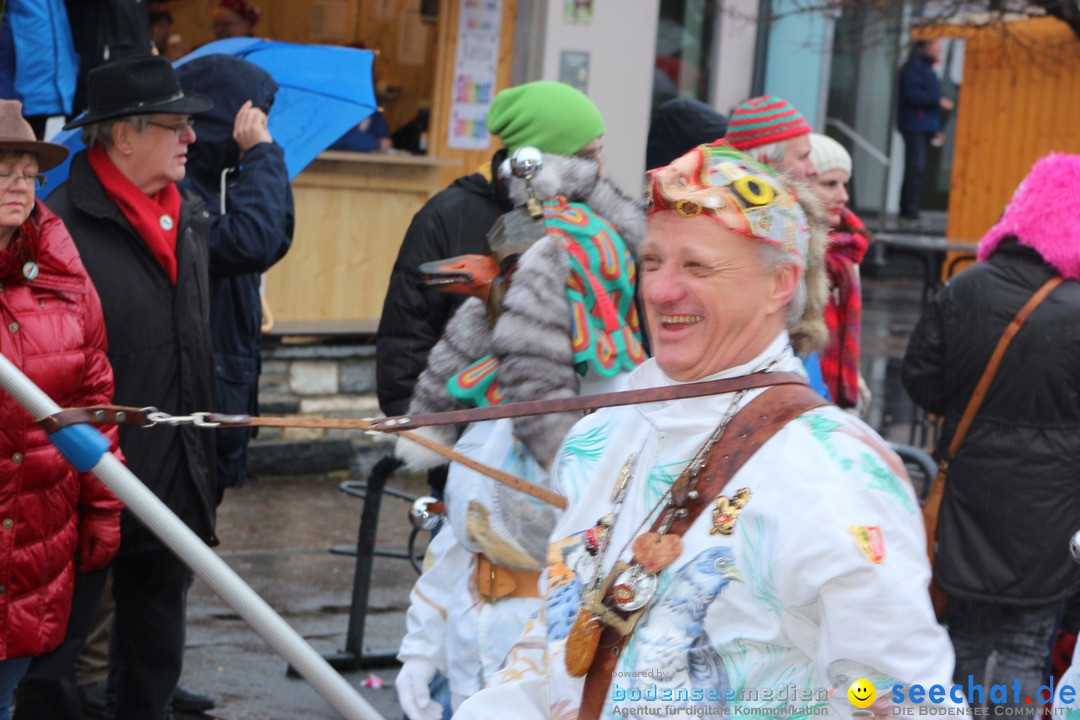 Fasnetsumzug - Fasching: Langenargen am Bodensee, 10.01.2016