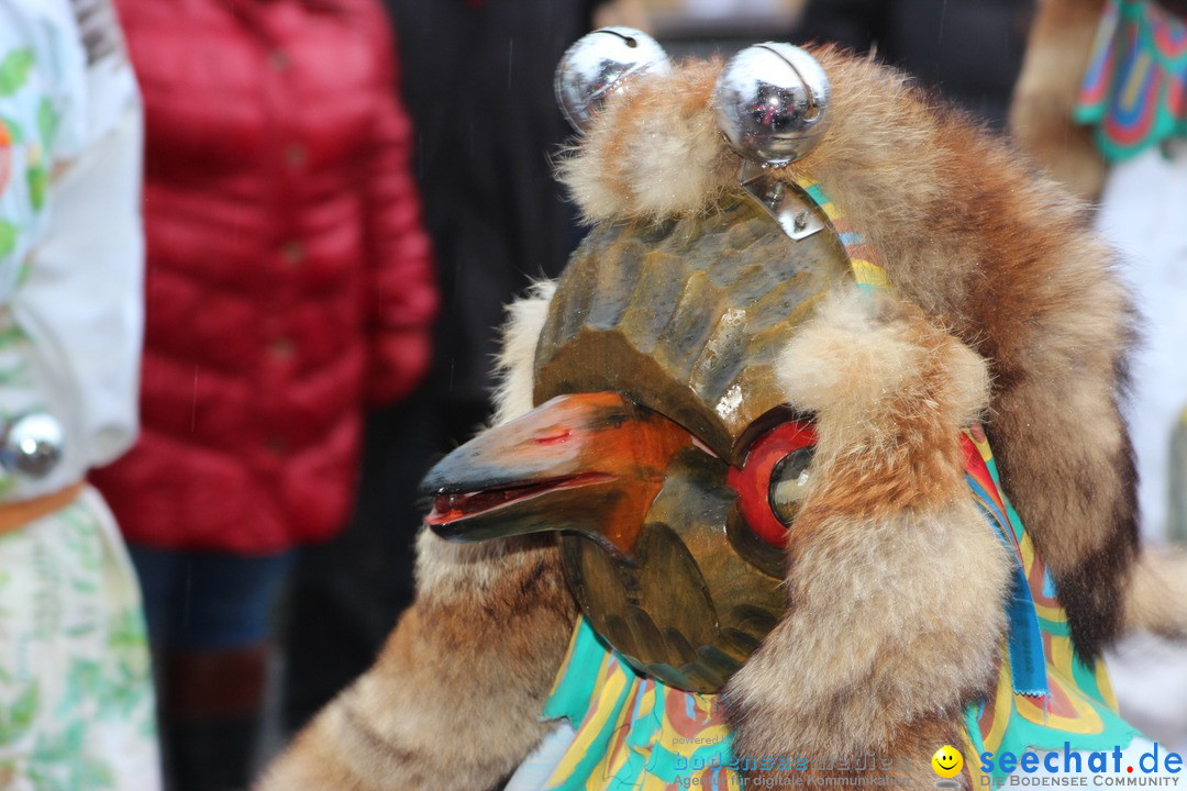 Fasnetsumzug - Fasching: Langenargen am Bodensee, 10.01.2016