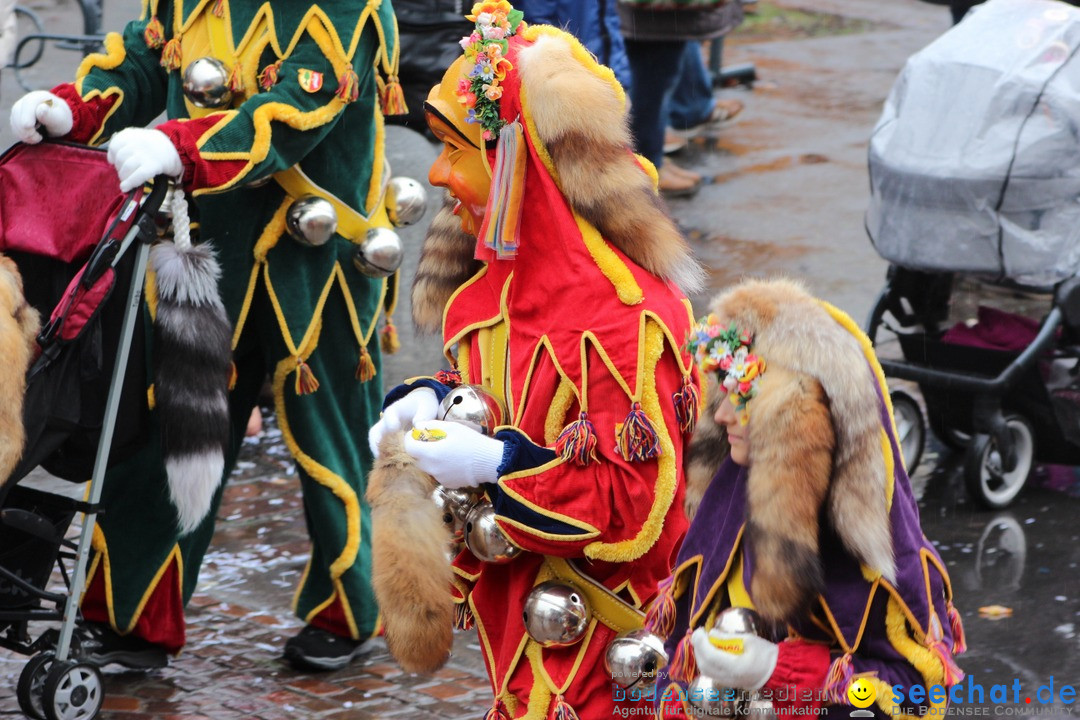 Fasnetsumzug - Fasching: Langenargen am Bodensee, 10.01.2016