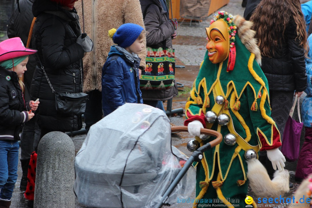 Fasnetsumzug - Fasching: Langenargen am Bodensee, 10.01.2016