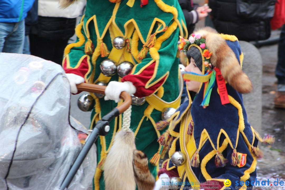 Fasnetsumzug - Fasching: Langenargen am Bodensee, 10.01.2016