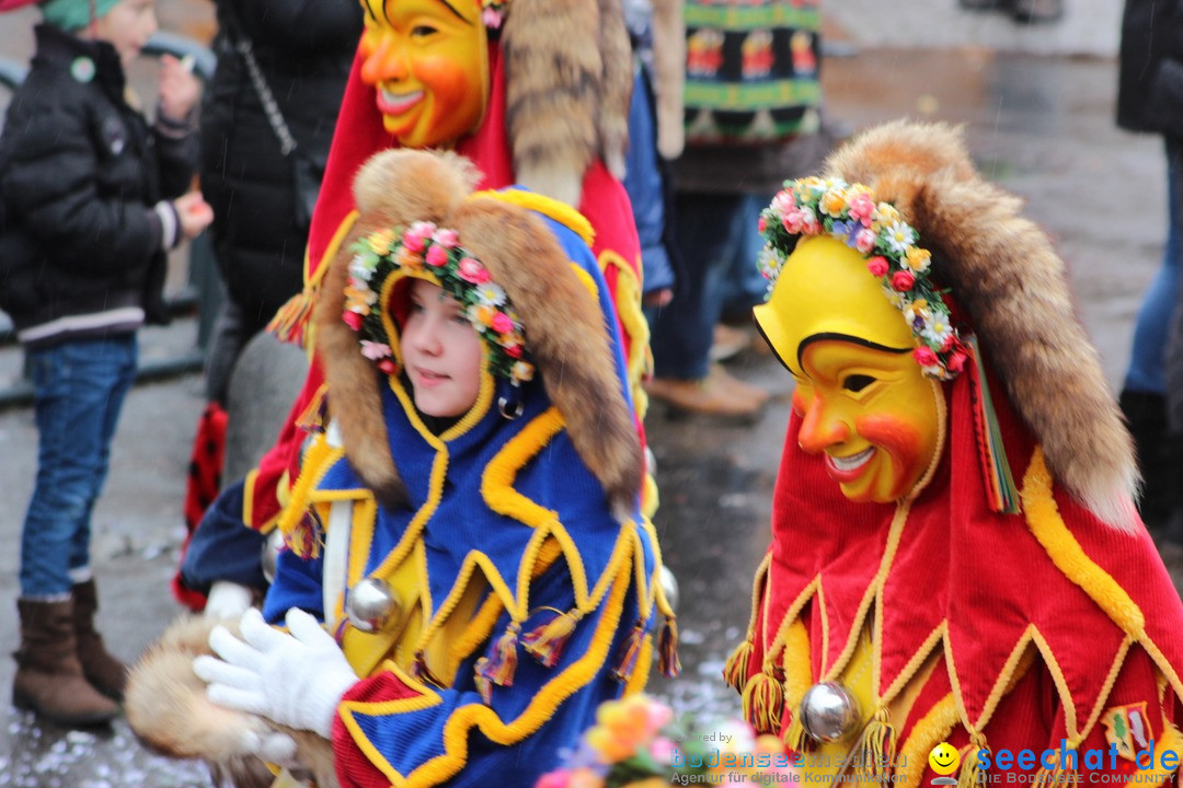 Fasnetsumzug - Fasching: Langenargen am Bodensee, 10.01.2016