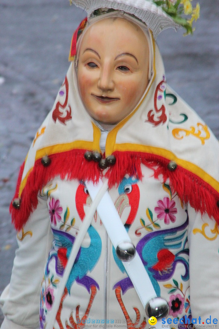 Fasnetsumzug - Fasching: Langenargen am Bodensee, 10.01.2016